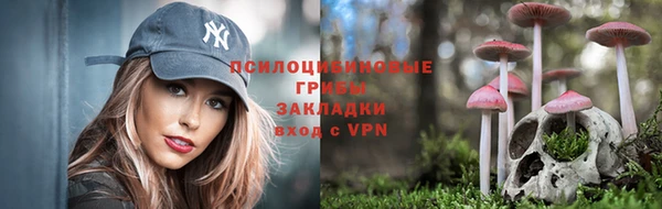 гидра Балахна