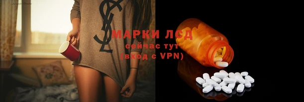 гидра Балахна